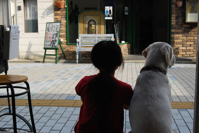 会社情報 パルテア