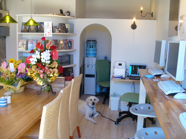 会社情報 パルテア